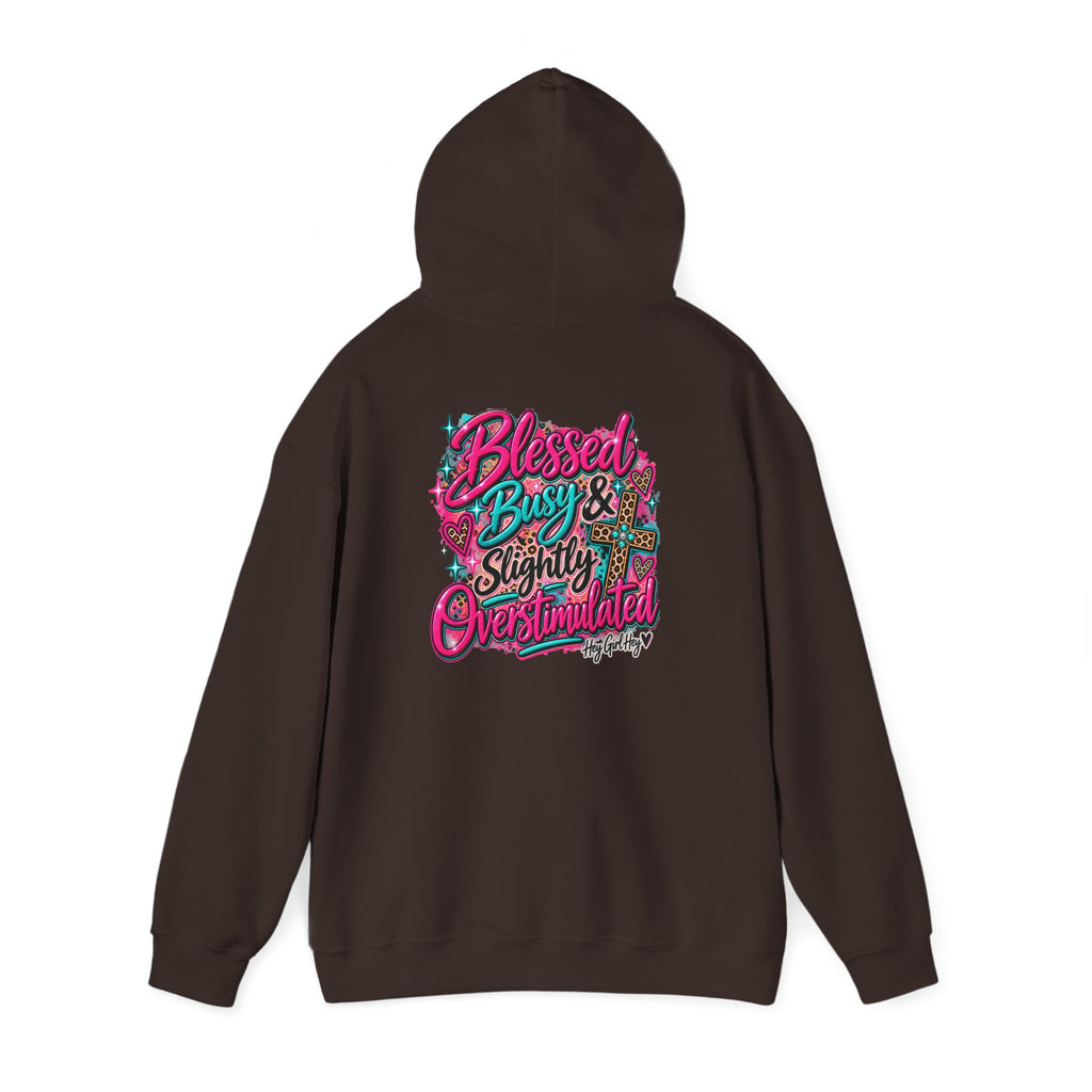 Hoodie — “Hey Girl Hey” | Blessed, Busy & Slightly Overstimulated Graphic Hoodie